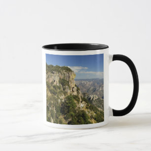 Mexiko, Bundesstaat Chihuahua, Copper Canyon. DIES Tasse