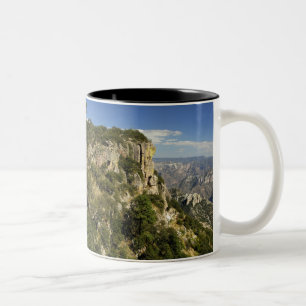 Mexiko, Bundesstaat Chihuahua, Copper Canyon. DIES Zweifarbige Tasse