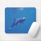 Mexiko, Cozumel. Bottlenosed Dolphin Mousepad (Mit Mouse)