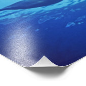 Mexiko, Cozumel. Dolphin Bottlenosed, Tursiops Fotodruck (Ecke)