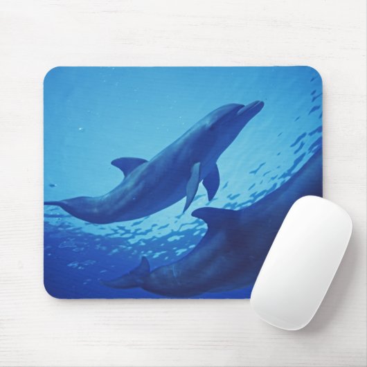 Mexiko, Cozumel. Dolphin Bottlenosed, Tursiops Mousepad (Mit Mouse)