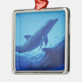 Mexiko, Cozumel. Dolphin Bottlenosed, Tursiops Ornament Aus Metall (Links)