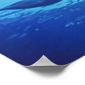 Mexiko, Cozumel. Dolphin Bottlenosed, Tursiops Poster (Ecke)