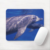 Mexiko, Cozumel. Dolphin in Flaschen, Tursiops 2 Mousepad (Mit Mouse)