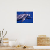 Mexiko, Cozumel. Dolphin in Flaschen, Tursiops 2 Poster (Küche)