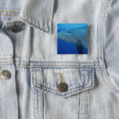 Mexiko, Cozumel. Dolphin in Flaschen, Tursiops 4 Button (Beispiel)