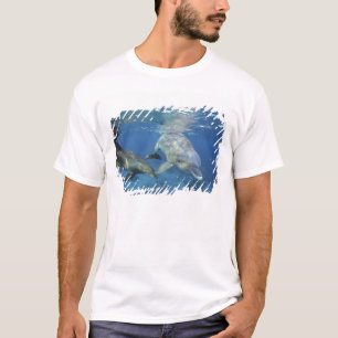Mexiko, Cozumel. Großer Tümmler, Tursiops 5 T-Shirt