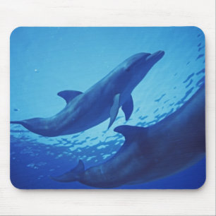 Mexiko, Cozumel. Großer Tümmler, Tursiops Mousepad