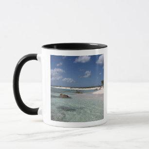 Mexiko, Cozumel, Punta Morena, die Ostküste Tasse