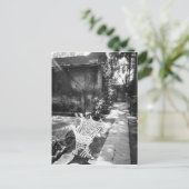 MEXIKO, D.F., Mexiko-Stadt, KOPAK: Bench at Postkarte (Stehend Vorderseite)