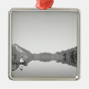 Mexiko, der CONANP-Park überhäuft Patrouillen mi Silbernes Ornament