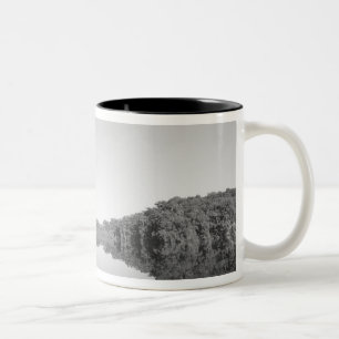 Mexiko, der CONANP-Park überhäuft Patrouillen mi Zweifarbige Tasse