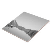 Mexiko, der CONANP-Park überhäuft Patrouillen mit Fliese (Seite)