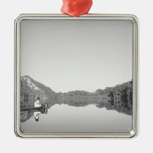 Mexiko, der CONANP-Park überhäuft Patrouillen mit  Silbernes Ornament (Vorne)