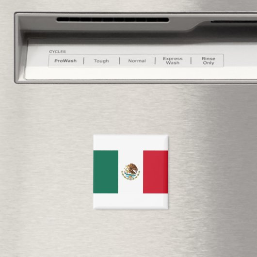 Mexiko-Flagge Magnet (In Situ (Geschirrspüler))