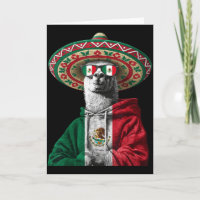 Mexiko-Flagge Mexikanischer Stolz Mexikanische Wur