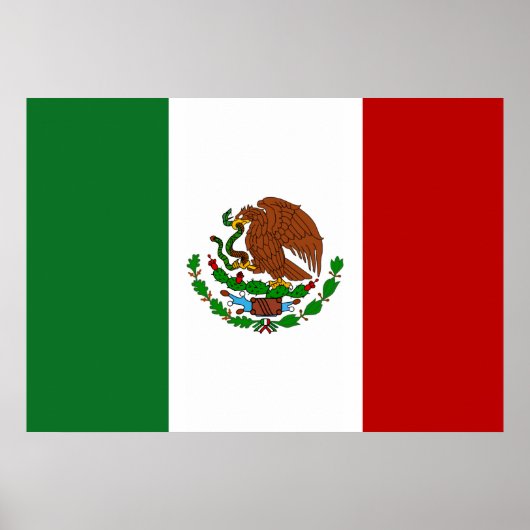 Mexiko-Flagge Poster (Vorne)