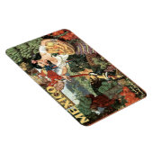 Mexiko-Jahrgangsmagnet Magnet (Rechte Seite)