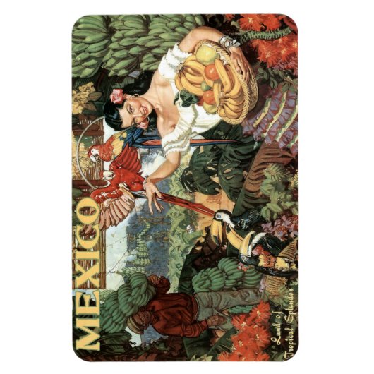 Mexiko-Jahrgangsmagnet Magnet (Vertikal)