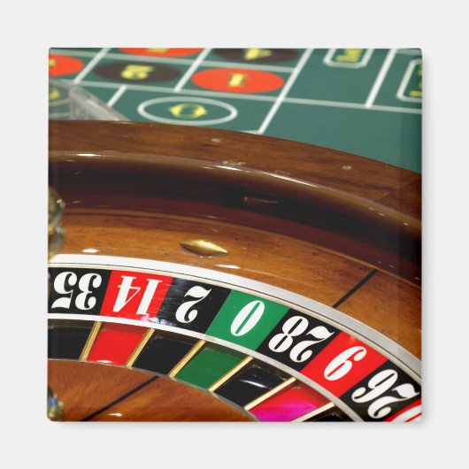 Mexiko Kreuzfahrt. Princess Cruises Dawn Princess Magnet (Vorne)