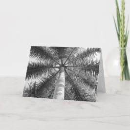 Mexiko-Palme-Schatten Karte