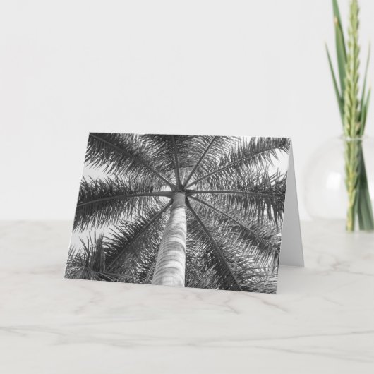 Mexiko-Palme-Schatten Karte (Vorderseite)