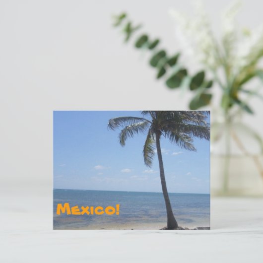 Mexiko Postkarte (Stehend Vorderseite)