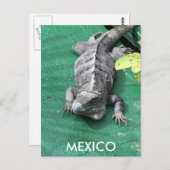 Mexiko-Postkarte Postkarte (Vorne/Hinten)