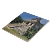 Mexiko, Provinz Chiapas, Palenque. Tempel Fliese (Seite)