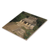 Mexiko, Provinz Chiapas, Palenque, Tempel Fliese (Seite)