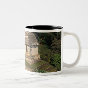 Mexiko, Provinz Chiapas, Palenque, Tempel Zweifarbige Tasse