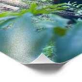 Mexiko, Quintana Roo, bei Chichen Itza, Fotodruck (Ecke)