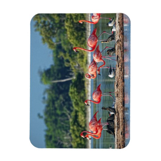 Mexiko Rio Lagartos Magnet (Vertikal)