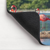 Mexiko Rio Lagartos Mousepad (Ecke)