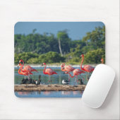 Mexiko Rio Lagartos Mousepad (Mit Mouse)