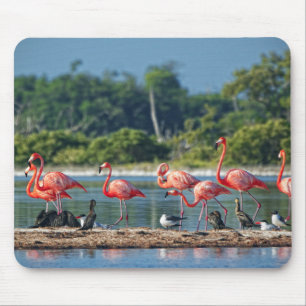 Mexiko Rio Lagartos Mousepad
