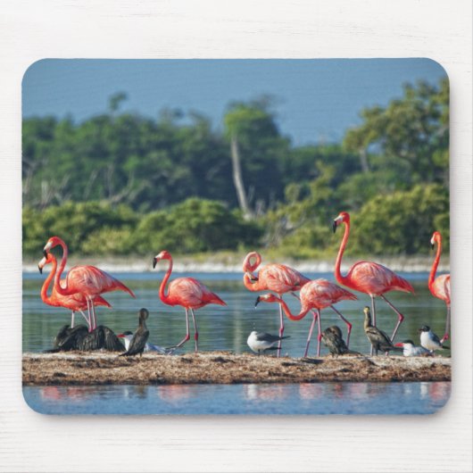 Mexiko Rio Lagartos Mousepad (Vorne)