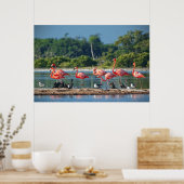 Mexiko Rio Lagartos Poster (Küche)