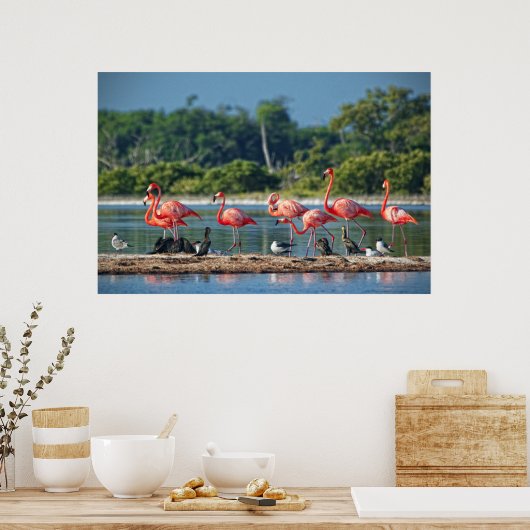 Mexiko Rio Lagartos Poster (Küche)