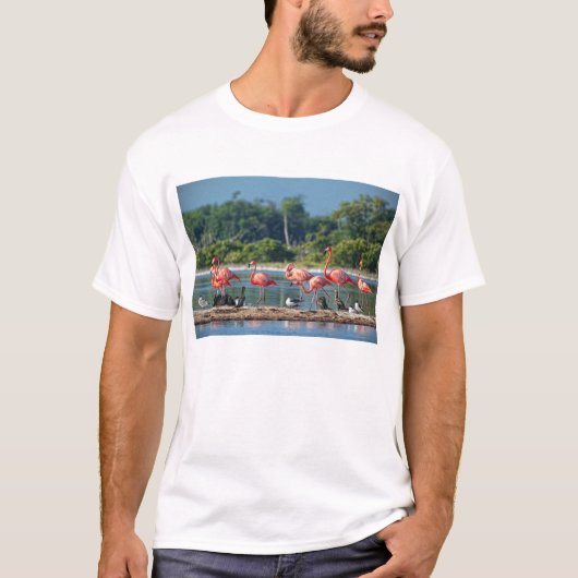 Mexiko Rio Lagartos T-Shirt (Vorderseite)