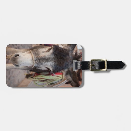 Mexiko, San Miguel De Allende 2 Gepäckanhänger (Vorderseite horizontal)