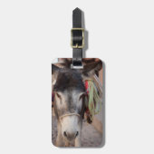 Mexiko, San Miguel De Allende 2 Gepäckanhänger (Vorderseite vertikal)