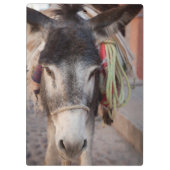 Mexiko, San Miguel De Allende 2 Klemmbrett (Rückseite)