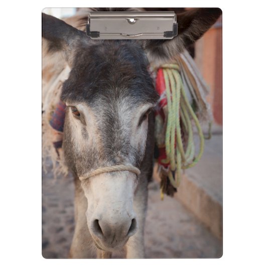 Mexiko, San Miguel De Allende 2 Klemmbrett (Vorderseite)