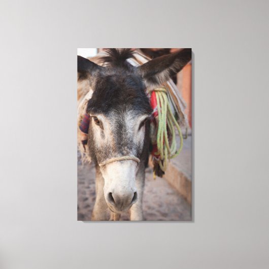 Mexiko, San Miguel De Allende 2 Leinwanddruck (Vorderseite)