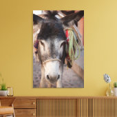 Mexiko, San Miguel De Allende 2 Leinwanddruck (Insitu (Wohnzimmer))