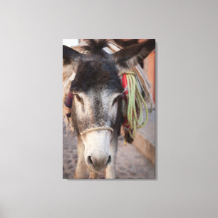 Mexiko, San Miguel De Allende 2 Leinwanddruck