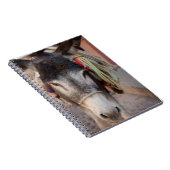 Mexiko, San Miguel De Allende 2 Notizblock (Rechte Seite)