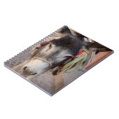 Mexiko, San Miguel De Allende 2 Notizblock (Linke Seite)