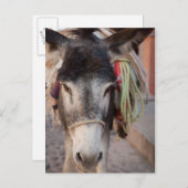 Mexiko, San Miguel De Allende 2 Postkarte (Vorne/Hinten)